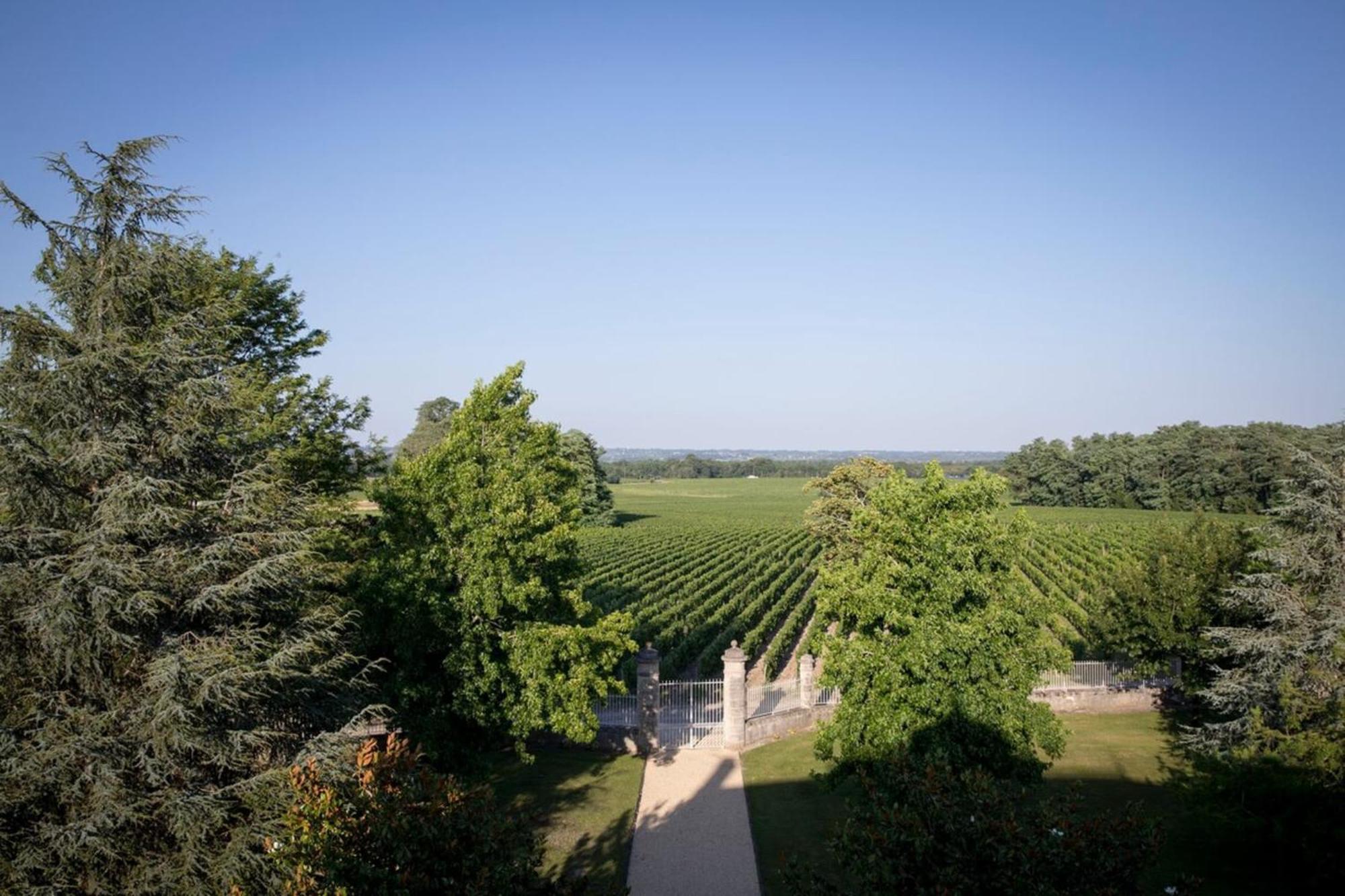 Chateau Malescasse Lamarque Exterior photo