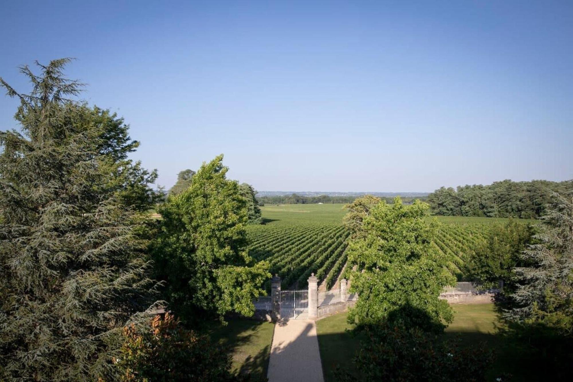 Chateau Malescasse Lamarque Exterior photo